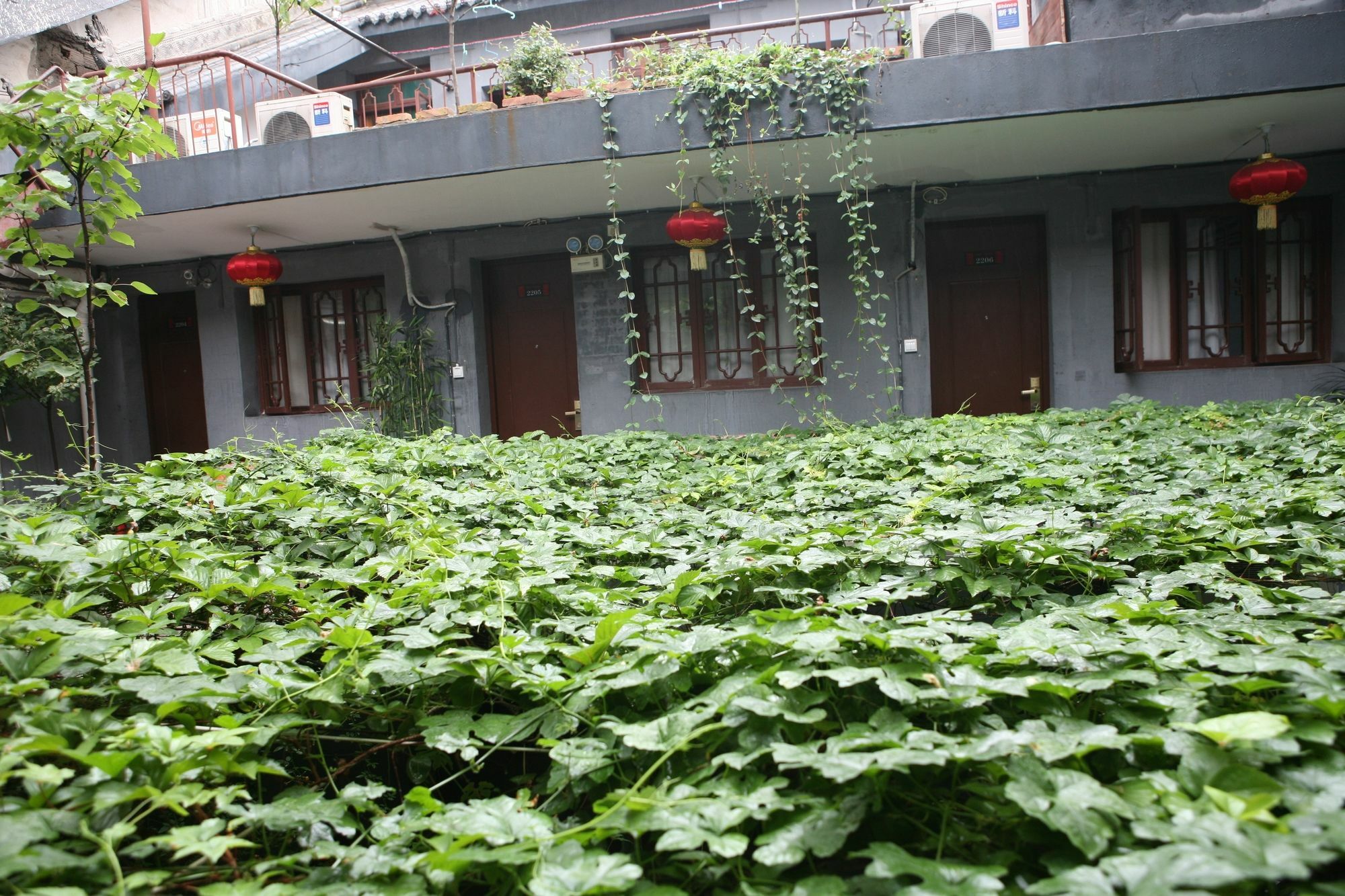 Shuyuan Youth Hostel Xi'An Xi'an  Zewnętrze zdjęcie